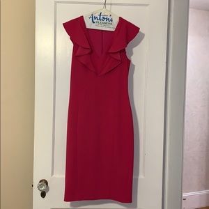 Rachel Roy Pink Dress- Size 2